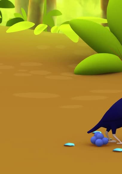 S01:E17 - Satin Bowerbird poster