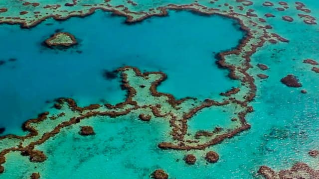 S01:E05 - Triple Tuna Tussle at the Great Barrier Reef