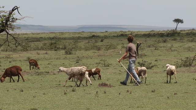 S07:E08 - Kenya the Great Migration