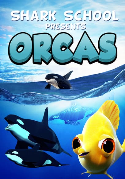 Shark School: Orcas