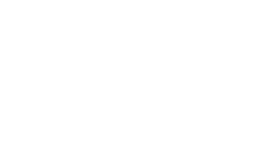 Timber the Treasure Dog