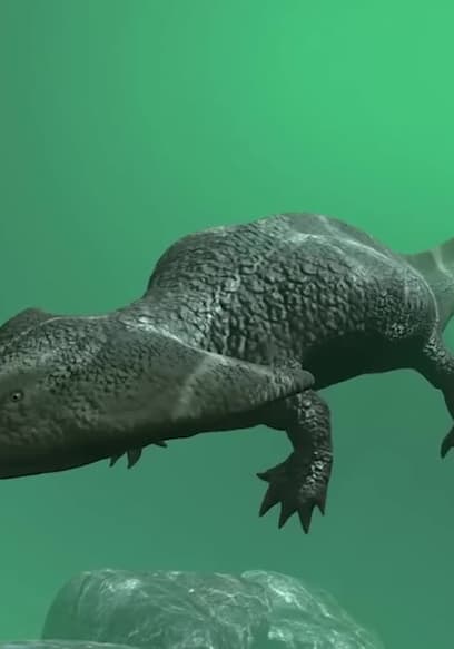 S01:E03 - A Complete Timeline of Prehistoric Creatures & Dinosaurs of North America poster