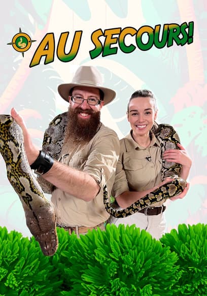 S01:E03 - Creepy Crawlies