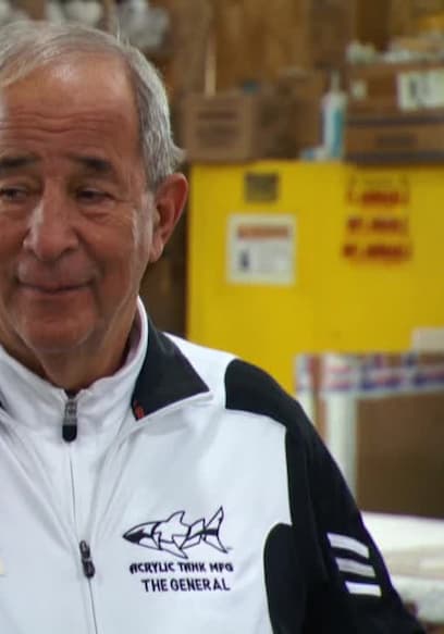 Watch Tanked S04:E07 - Nigiri and the NBA - Free TV Shows | Tubi