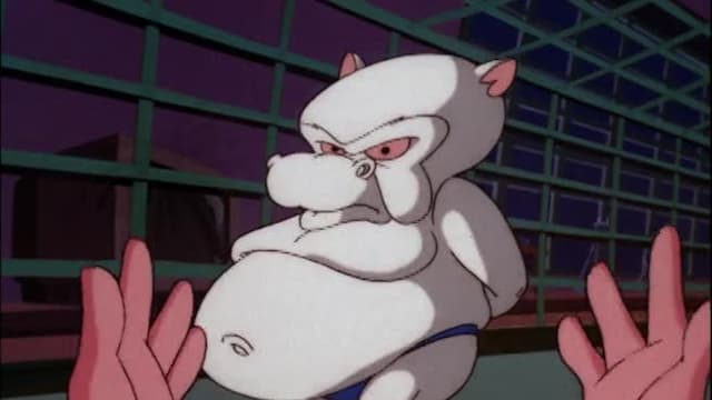 S03:E33 - Pinky's P.O.V. / the Really Great Dictator / Brain Food