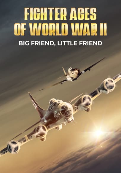 Fighter Aces of World War II: Big Friend, Little Friend