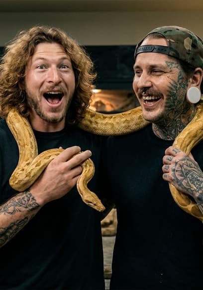 S01:E09 - Favorite Snake Finds New Home poster
