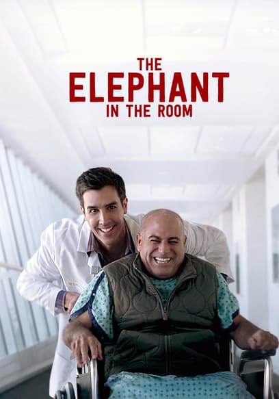 The Elephant in the Room
