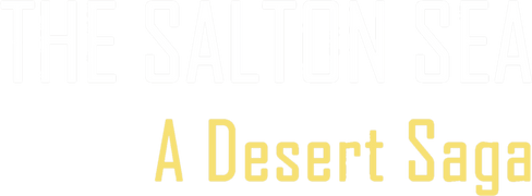The Salton Sea: A Desert Saga