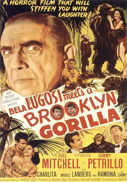 Bela Lugosi Meets a Brooklyn Gorilla