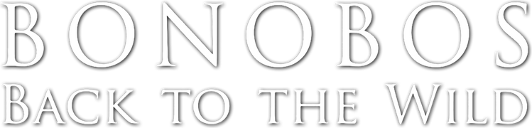 Bonobos: Back to the Wild