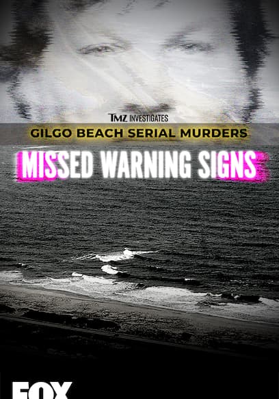 TMZ Investigates: Gilgo Beach Serial Murders: Missed Warning Signs