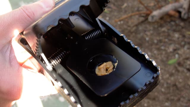 S01:E03 - The Hills Have Rats