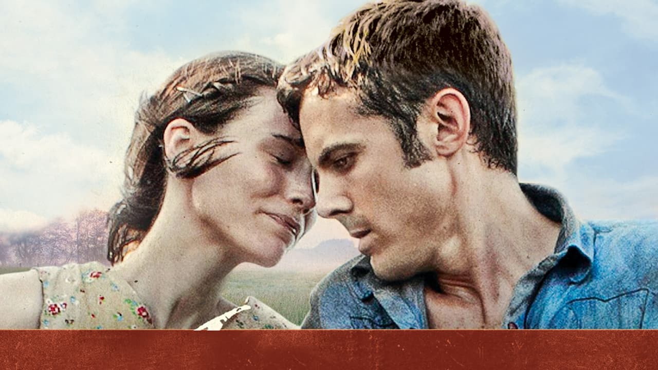 Watch Ain't Them Bodies Saints