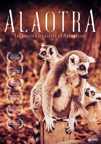 Alaotra poster
