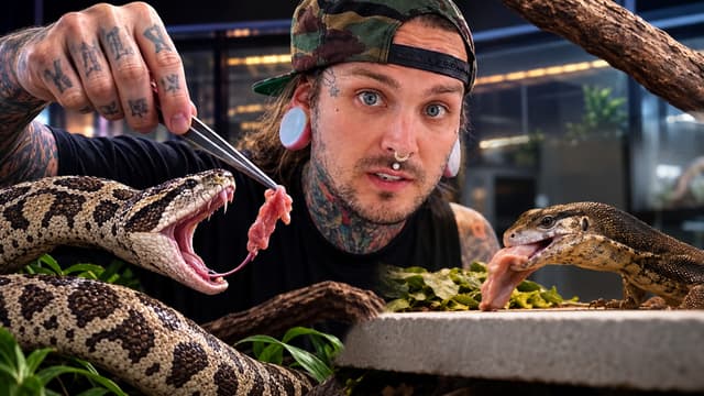 S01:E03 - Venom and Fire: Feeding Reptiles