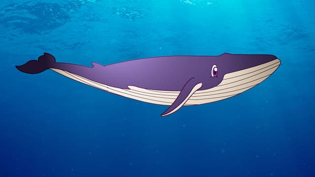 S01:E02 - Whales