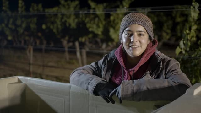 S01:E03 - Harvest Season