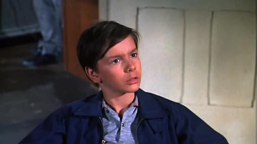 Watch The FBI S01:E02 Image In A Cracked Mirror Free TV Shows