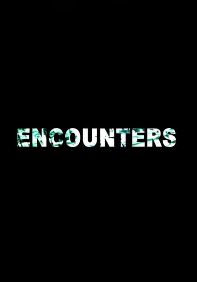 Encounters