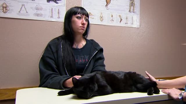 S02:E04 - Beware of Cat