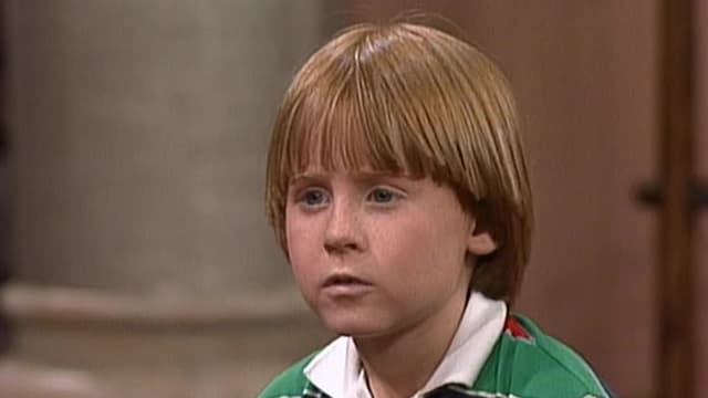 S08:E803 - Arnold's Job