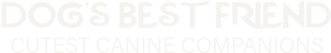 Dog's Best Friend: Cutest Canine Companions