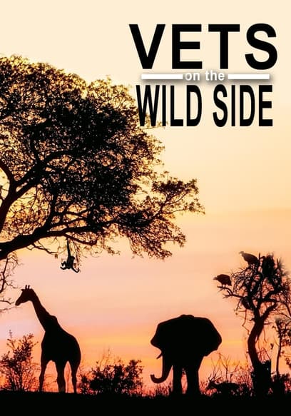 Vets on the Wild Side