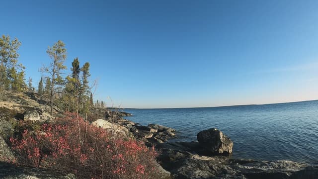 S10:E06 - King's Gambit