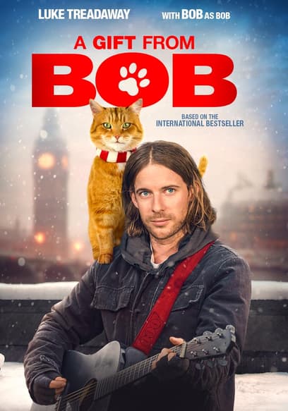 A Gift From Bob