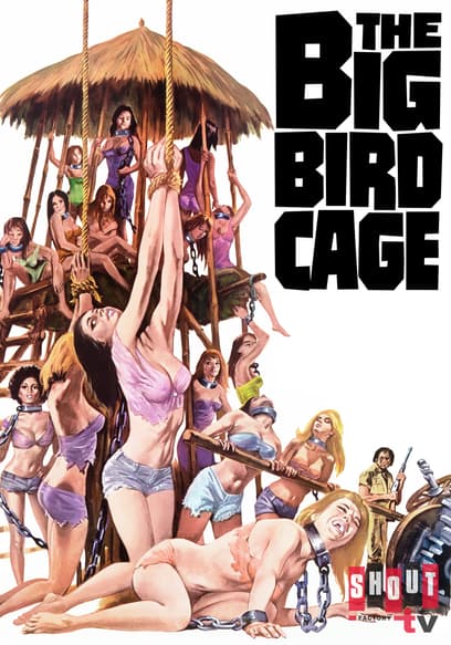 The Big Bird Cage