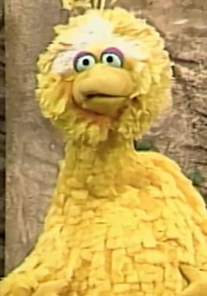 S15:E19 - Snuffy Catches a Cold poster