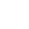 Vice