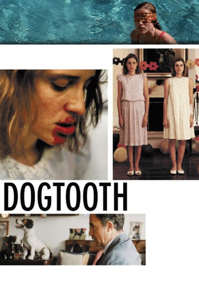 Dogtooth