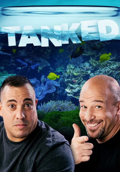 S01:E01 - Brett Takes a Dive