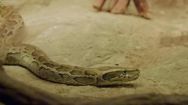 S01:E04 - Moving Day