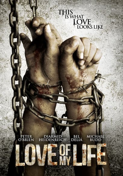 Love of My Life poster