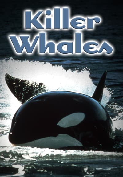 Killer Whales