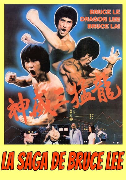 La Saga De Bruce Lee (Doblado)