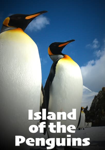 Island of the Penguins