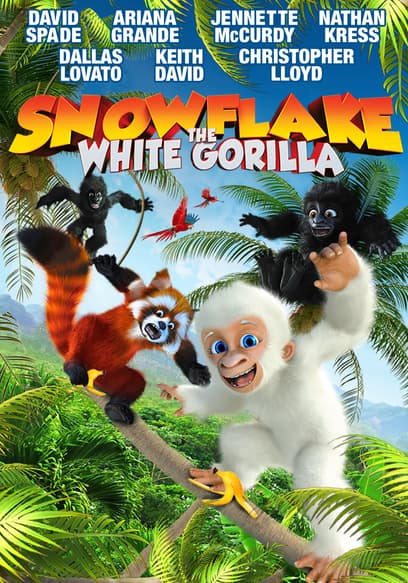 Snowflake, the White Gorilla