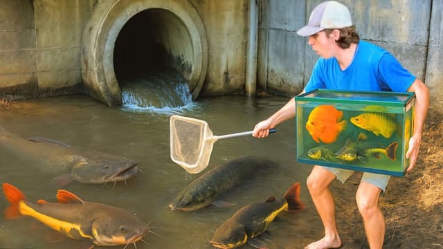 Bass Fishing Productions