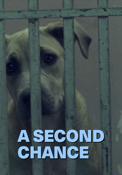 A Second Chance poster