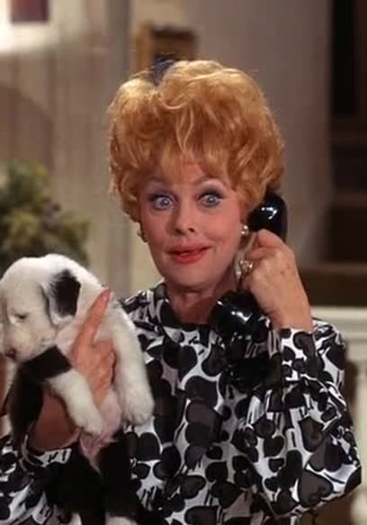 S02:E13 - Lucy and the Bogie Affair poster
