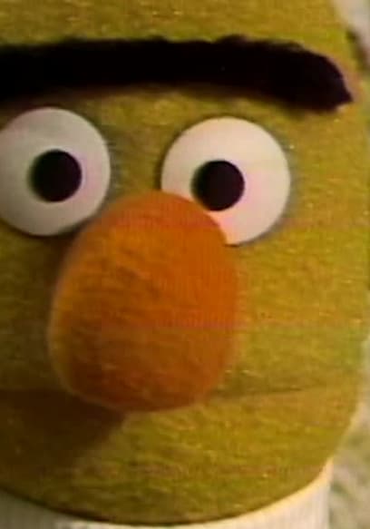 S11:E81 - R2-D2 and C-3PO Return to Sesame Street poster