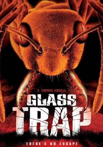 Glass Trap