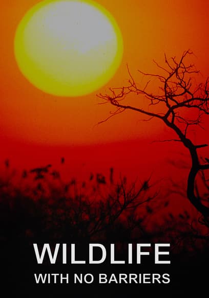 Wildlife with No Barriers