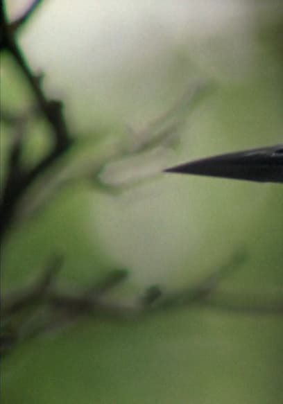 S01:E20 - Tern poster