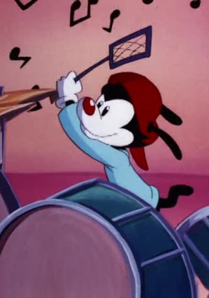S05:E09 - Birds on a Wire/The Scoring Session/The Animaniacs Suite poster