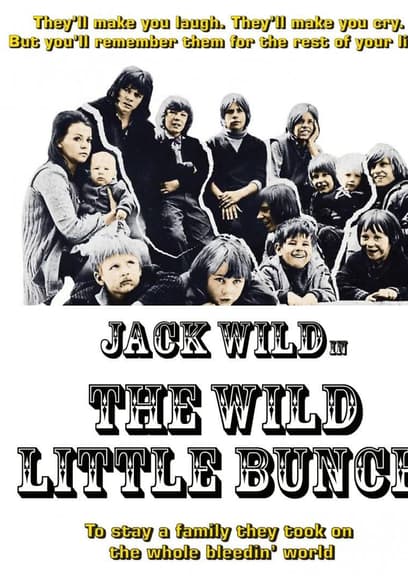 The Wild Little Bunch poster